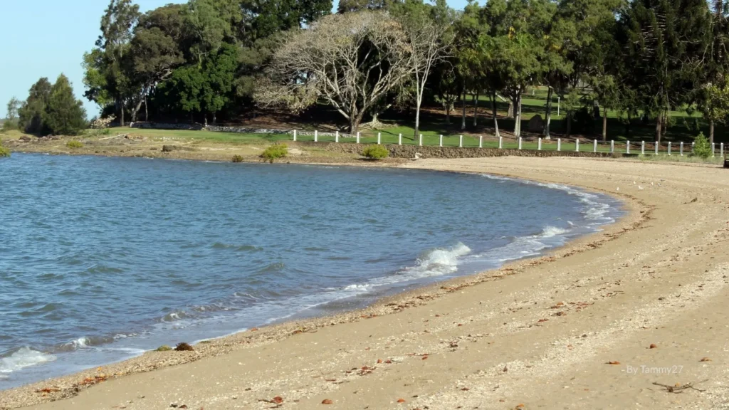 Barney Point Beach in Gladstone, Queensland, with calm foreshore waters, sandy shoreline, grassy parklands, and shaded picnic areas