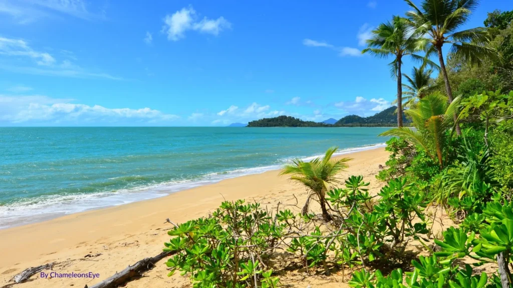 Clifton Beach, Cairns Northern Beaches Queensland, showing golden sand, palm trees, and calm tropical waters