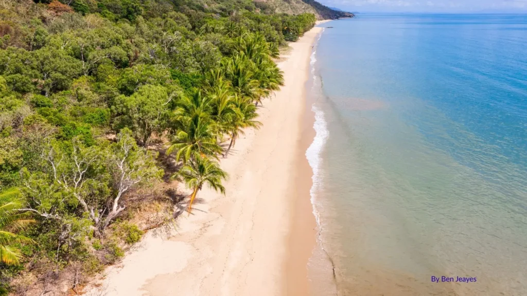 Ellis Beach, Cairns Northern Beaches Queensland, showing golden sand, rainforest backdrop, and calm tropical waters.