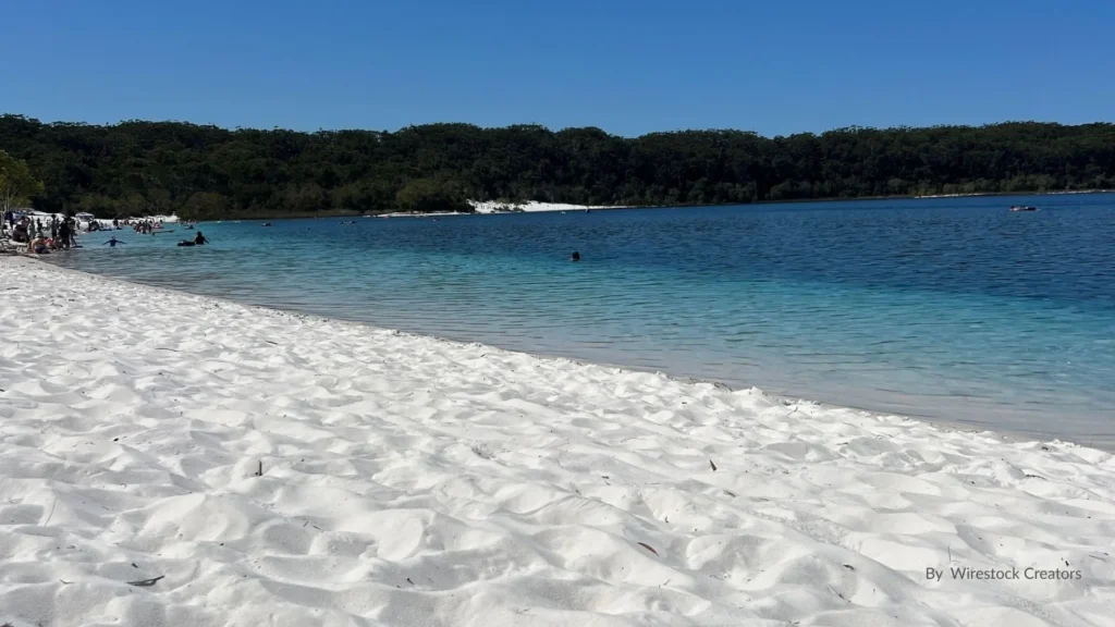 White sandy shore of Lake McKenzie with clear blue freshwater and forest backdrop on Fraser Island (K’gari), Queensland