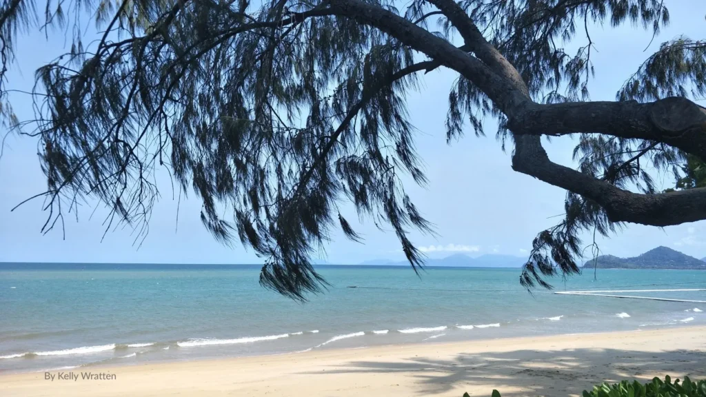 Scenic view of Kewarra Beach in Cairns, Queensland — calm tropical waters, sandy shoreline, and shaded foreshore trees