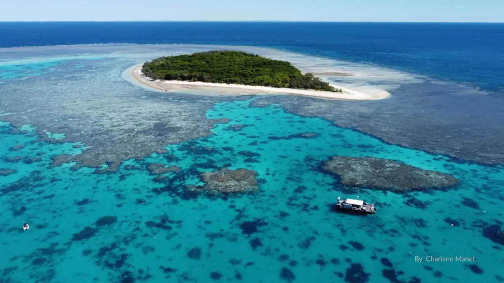 Aerial view of Lady Musgrave Island, Queensland, surrounded by turquoise lagoon waters and coral reef on the southern Great Barrier Reef