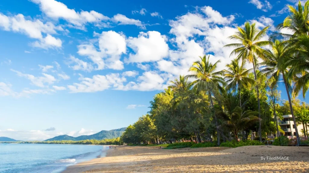 Palm Cove Beach in Cairns, Queensland, with palm trees, golden sand, and calm blue waters under a tropical sky