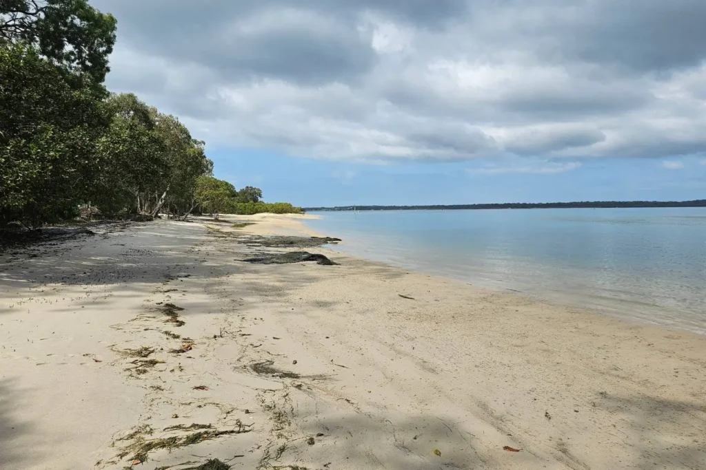 Natural foreshore at Banksia Beach on Bribie Island, Queensland, with sandy shoreline, calm waters of Pumicestone Passage, and trees lining the coast.