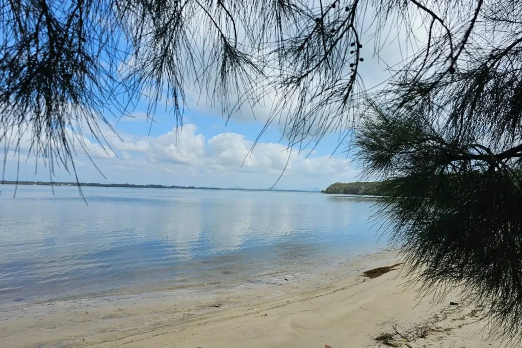 Tranquil sandy foreshore at Banksia Beach, Bribie Island QLD, with calm Pumicestone Passage waters framed by overhanging trees.
