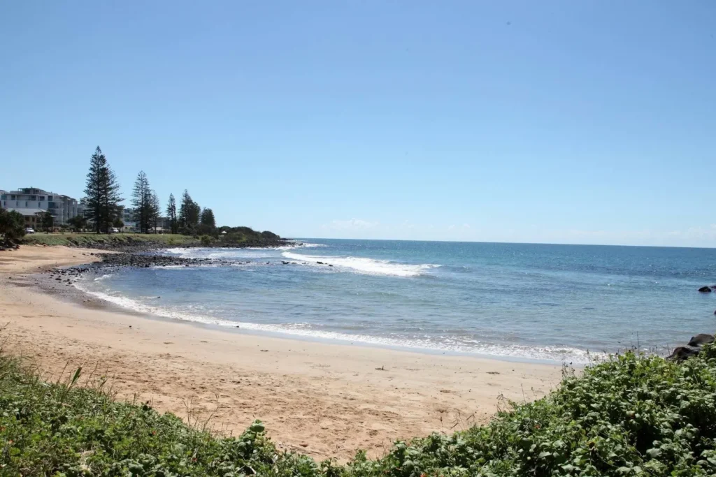 View of Bargara Beach in Queensland, showing a sandy shoreline with gentle waves, rocky edges, coastal greenery in the foreground, and seaside homes backed by tall pine trees.