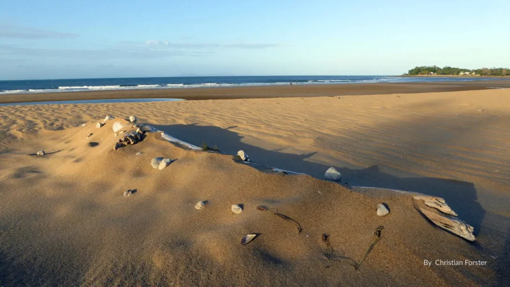 Golden sandy shoreline at Bucasia Beach near Mackay, Queensland, with gentle waves and a relaxed coastal backdrop.