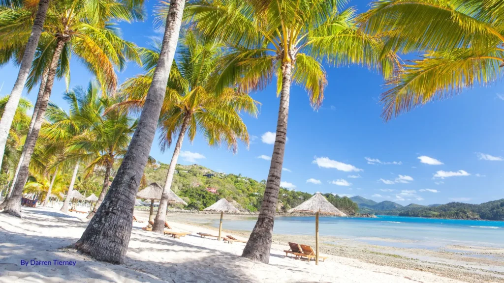 Catseye Beach on Hamilton Island with white sand, palm trees, and turquoise waters, lined with resort umbrellas and sun lounges in the Whitsundays, Queensland.