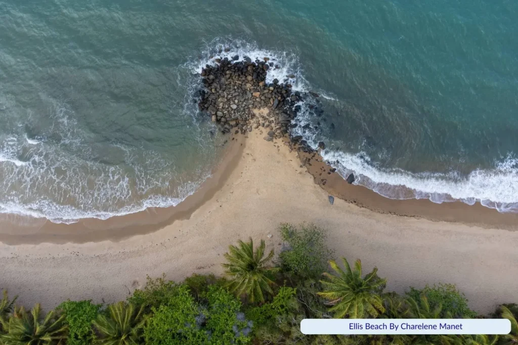 Aerial view of Ellis Beach in Queensland, showing a sandy shoreline with palm trees, turquoise waves, and a rocky outcrop extending into the ocean.