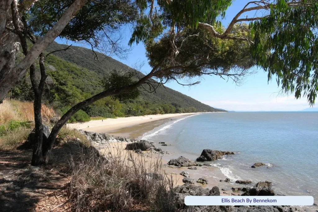 Ellis Beach in Tropical North Queensland, with calm blue waters, golden sand, rocky shoreline, and lush green hillside framed by overhanging trees.