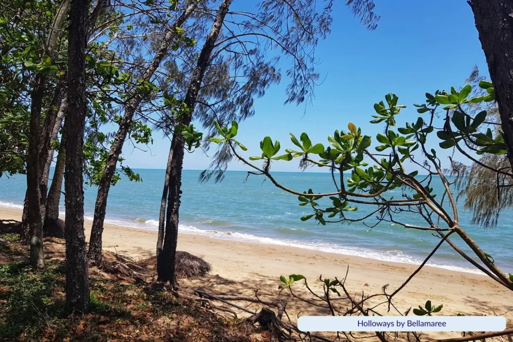 View of Holloways Beach in Cairns, Queensland, with golden sand, gentle ocean waves, and trees providing shade along the foreshore.