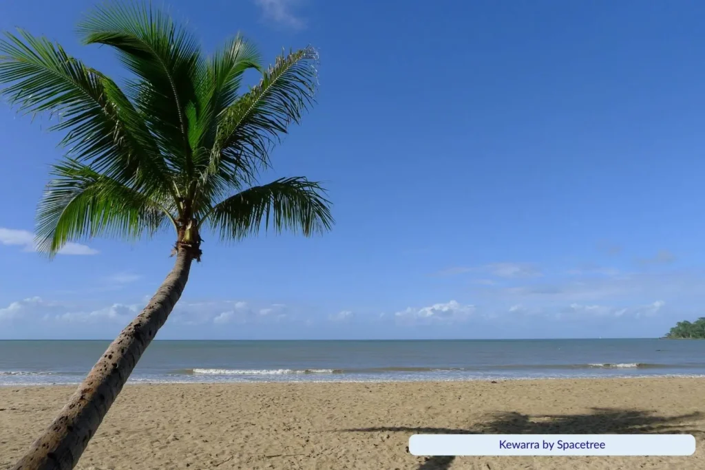 Palm tree leaning over the sandy shore of Kewarra Beach in Cairns, Queensland, with gentle waves and a clear blue sky above the Coral Sea.