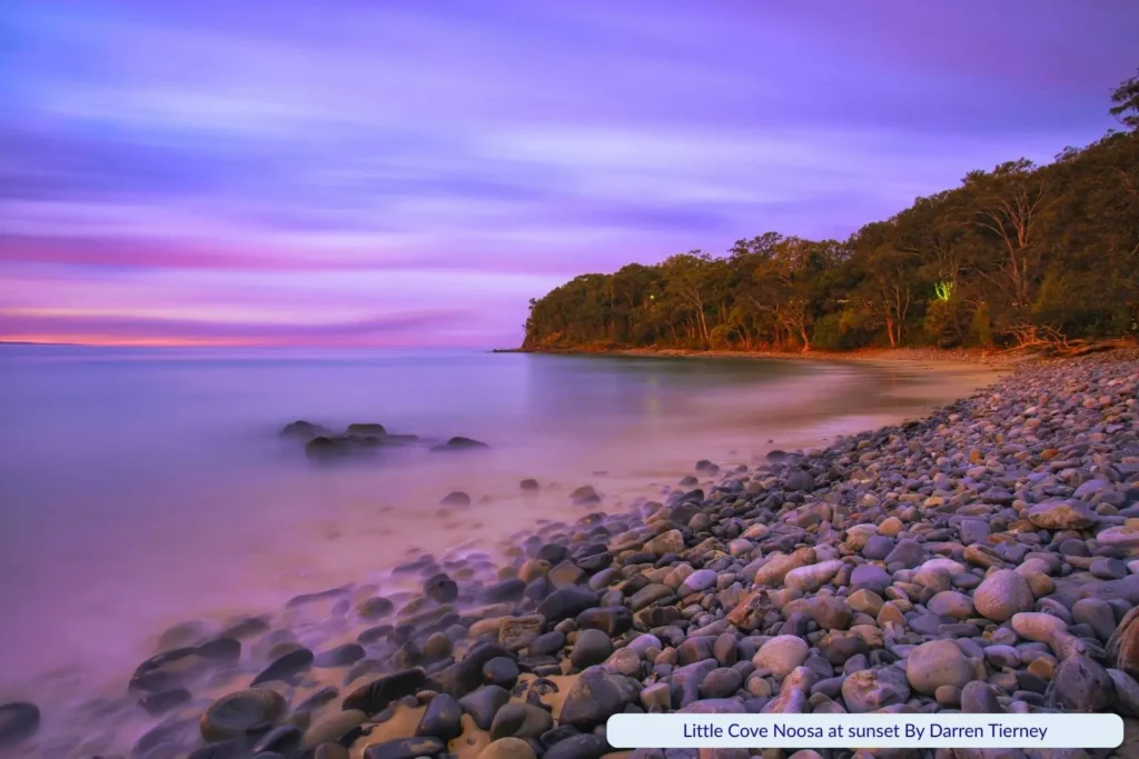 Little Cove Beach in Noosa at sunset with smooth waves washing over a rocky shoreline, purple and orange skies reflecting on the water, and forest trees lining the coast.