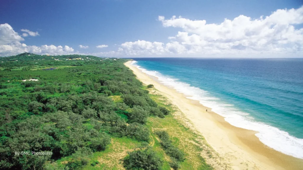 Marcoola Beach on the Sunshine Coast with long golden sands, rolling surf, and green coastal vegetation stretching along the shoreline, Queensland, Australia.