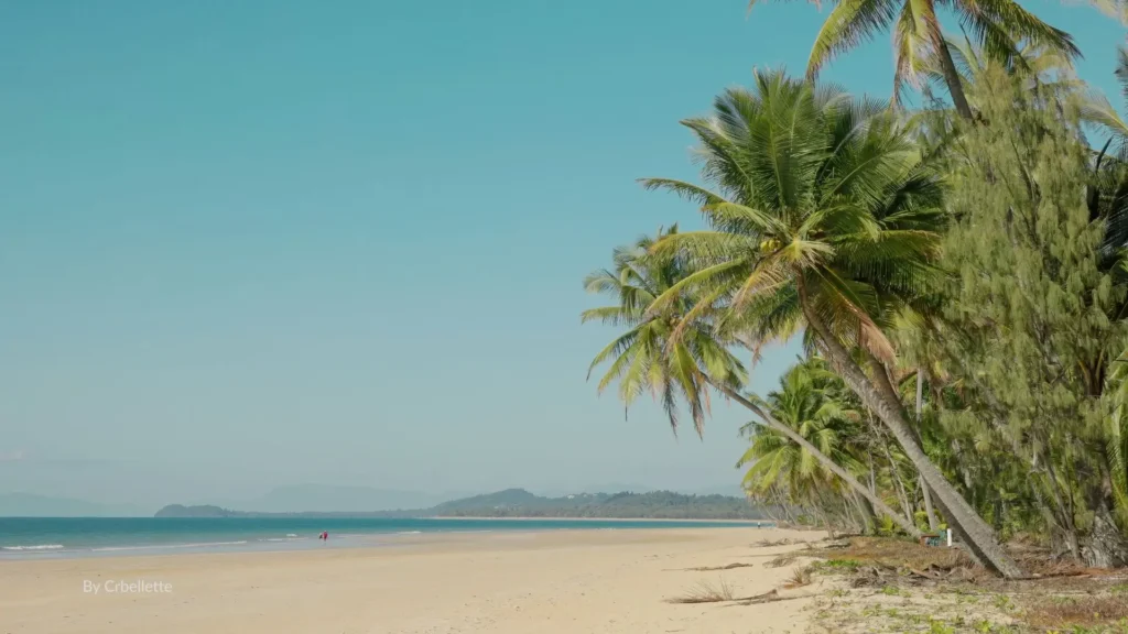 Palm trees lining the golden sandy shoreline of Mission Beach with views across to Dunk Island, Cassowary Coast, Queensland.