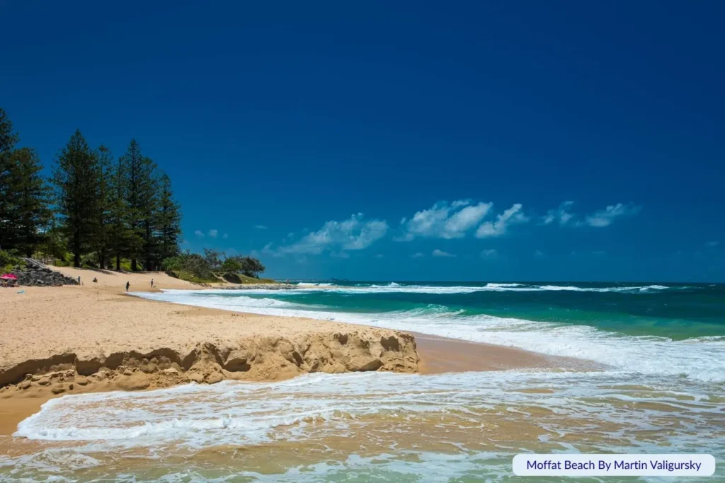Moffat Beach on the Sunshine Coast, Queensland, with golden sandy shoreline, turquoise waves, and tall Norfolk pine trees under a clear blue sky.