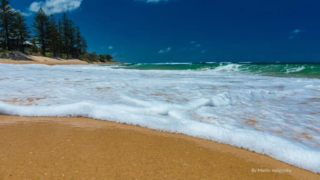 Moffat Beach with golden sand, foamy surf, pine trees on the headland, and clear blue skies, Sunshine Coast, Queensland.