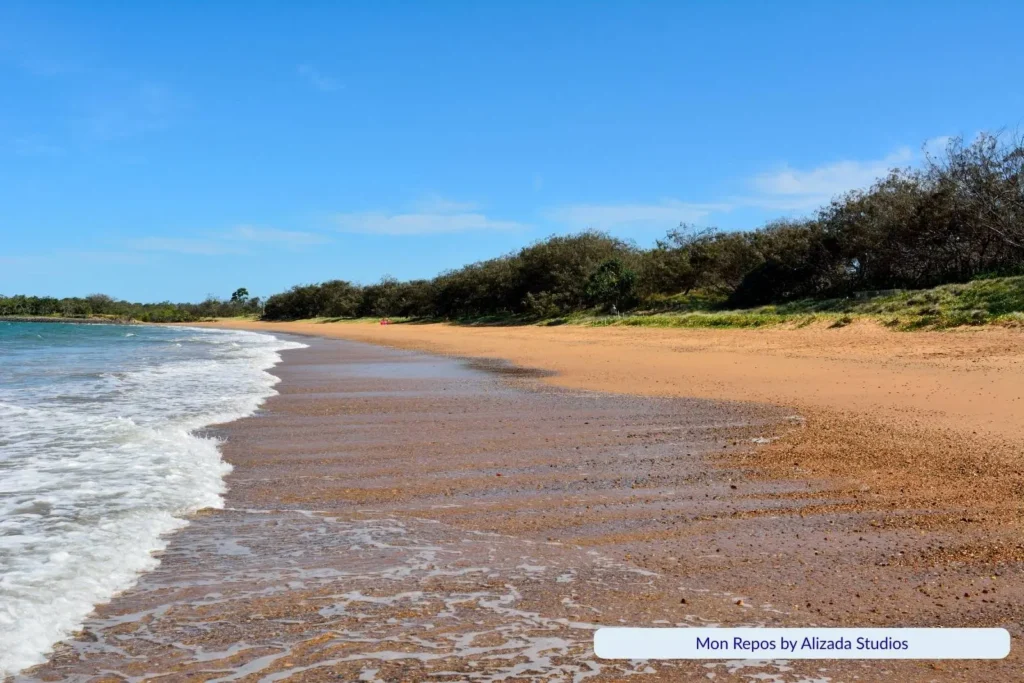 Golden sandy shoreline of Mon Repos Beach in Bundaberg, Queensland, with gentle waves washing in, coastal vegetation along the dunes, and a clear blue sky overhead.