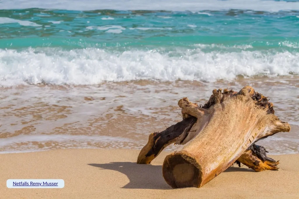 Weathered driftwood resting on the sandy shoreline with turquoise waves rolling in, Ocean Beach, Bribie Island, Queensland.