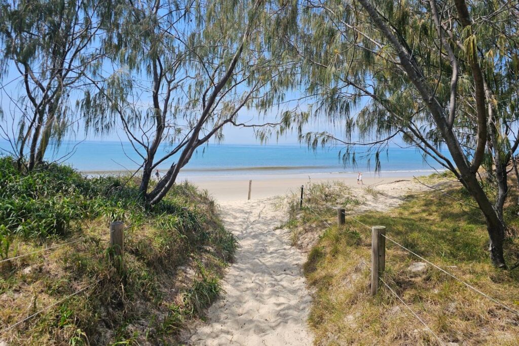 Sandy pathway through coastal trees leading onto Ocean Beach with calm blue water and people walking along the shoreline, Bribie Island, Queensland.