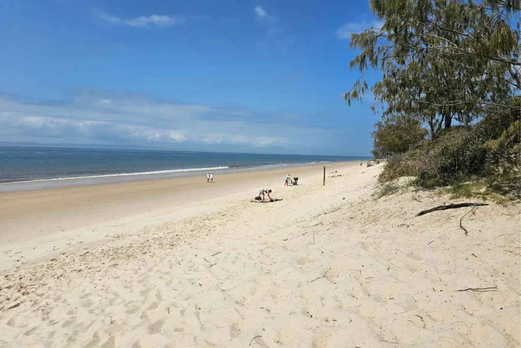 Wide sandy shoreline at Ocean Beach with a few people relaxing under a clear blue sky, bordered by coastal trees, Bribie Island, Queensland.