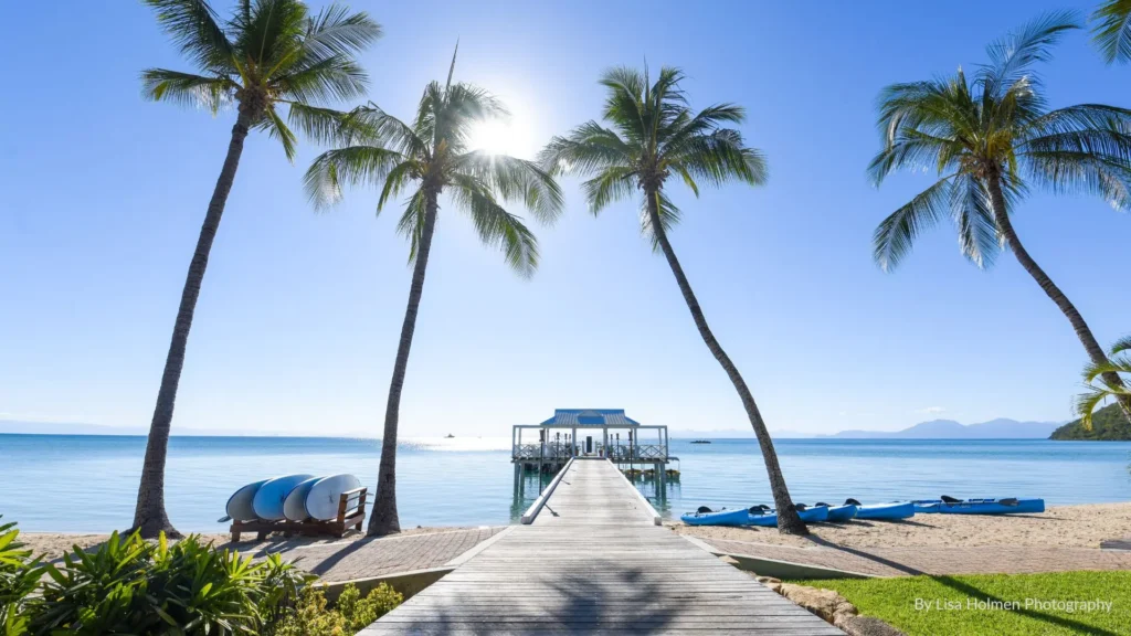 Palm trees framing a wooden pier extending over turquoise waters at Orpheus Island, Great Barrier Reef, Queensland.