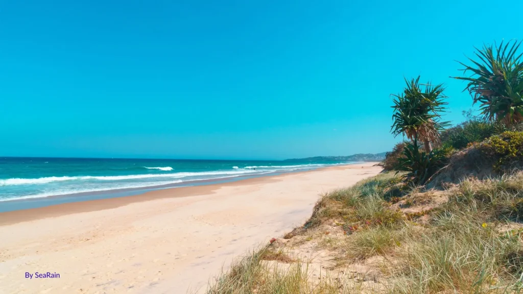 Peregian Beach with golden sand, gentle surf, and pandanus trees along the dunes under a bright blue sky, Sunshine Coast, Queensland.