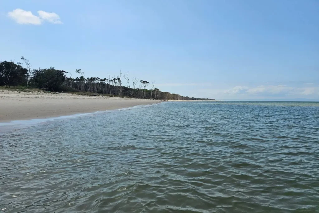 Ocean view at Red Beach on Bribie Island QLD, with gentle waves lapping against the sandy shoreline and coastal bushland in the distance.