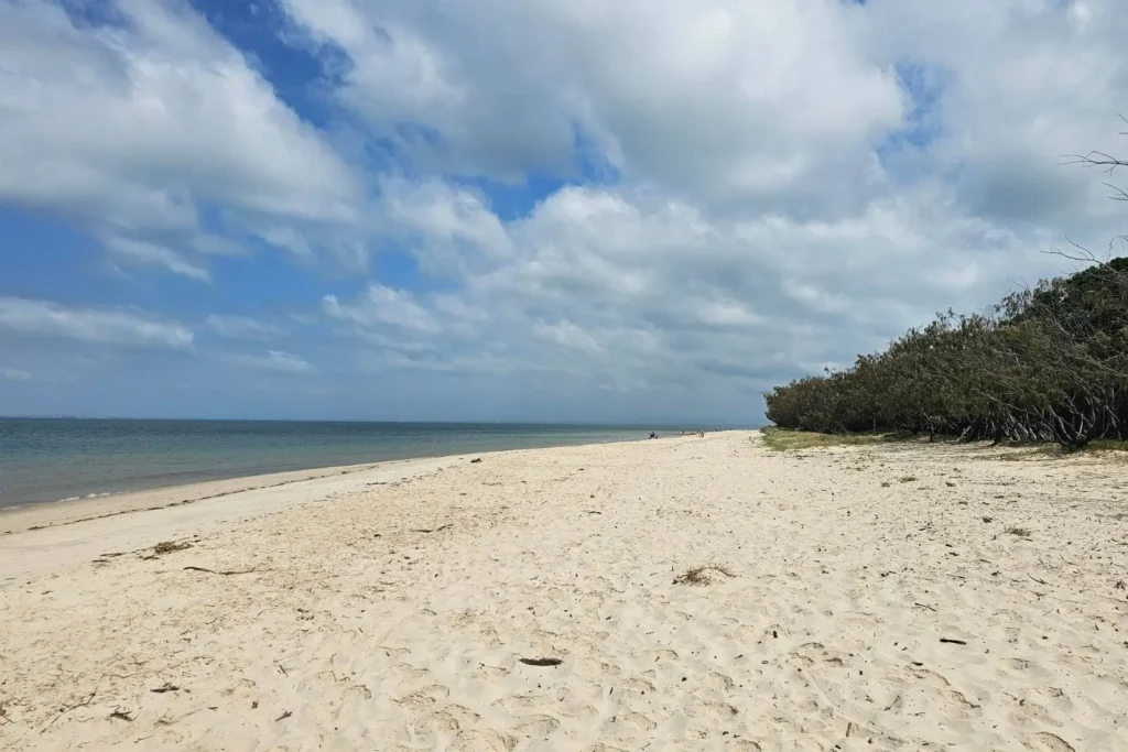 Wide sandy shoreline at Red Beach on Bribie Island QLD, with open ocean views, scattered dunes, and coastal bushland under a cloudy sky