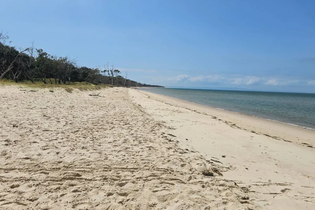 Expansive sandy foreshore at Red Beach on Bribie Island QLD, with golden sand, calm blue ocean, and coastal bushland in the distance.
