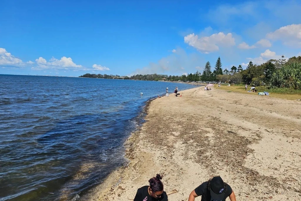 Sandy shoreline at Sandgate Beach in Brisbane with calm bay waters, scattered beachgoers, and pine trees under a clear blue sky.