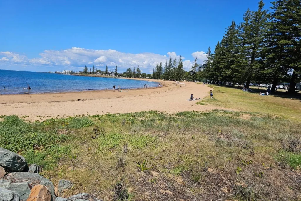 Scarborough Beach with golden sand and calm bay waters, bordered by grassy parkland and tall pine trees on the Redcliffe Peninsula, Brisbane, Queensland.