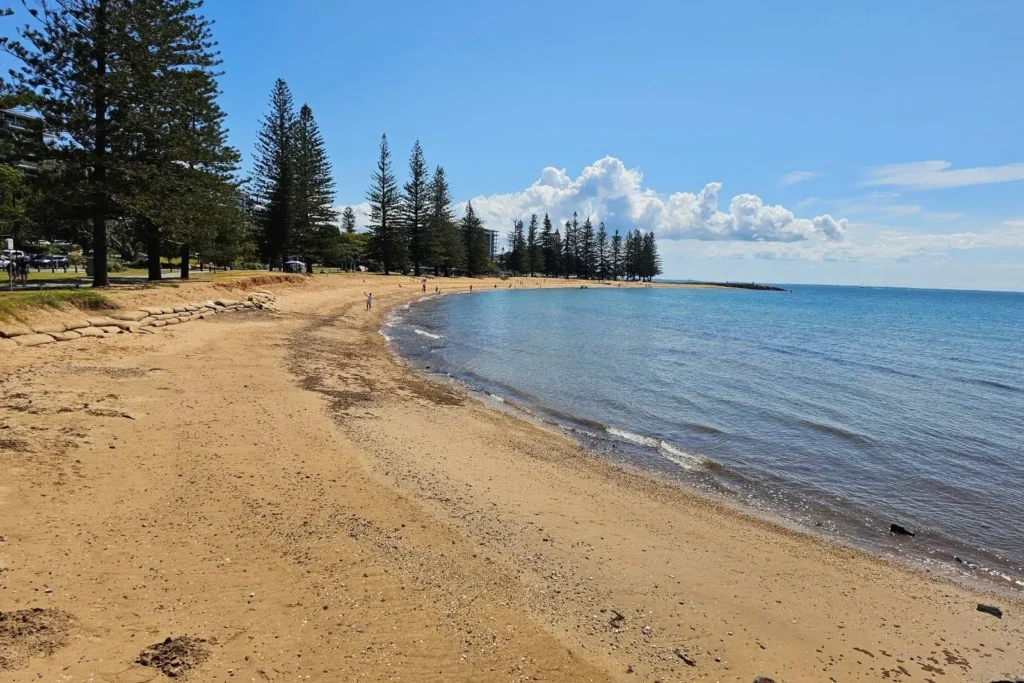 Scenic view of Scarborough Beach with golden sand, calm blue waters, and tall pine trees lining the foreshore on the Redcliffe Peninsula, Brisbane, Queensland.