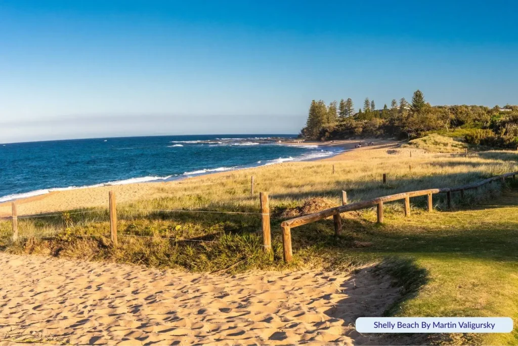 Golden sands and grassy dunes at Shelly Beach, Sunshine Coast, Queensland with coastal views and calm ocean waves.