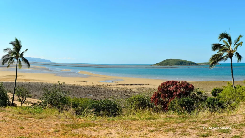 Shoal Point beach at low tide with tidal flats, palm trees, and Green Island offshore under a clear blue sky, Mackay, Queensland.