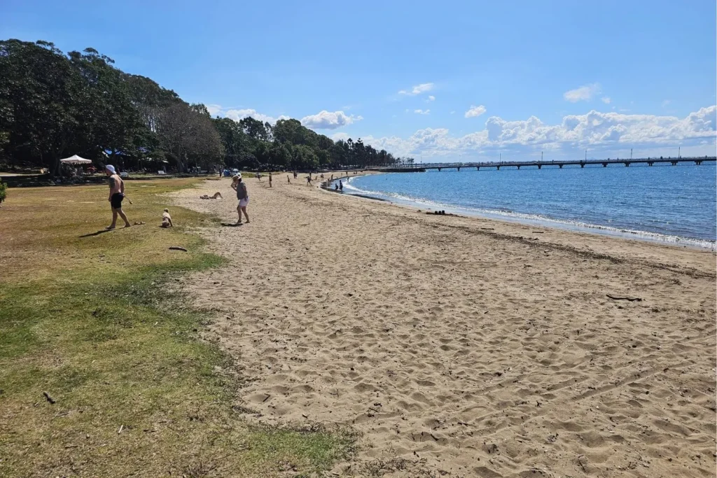 Shorncliffe Beach in Brisbane with golden sand, people walking dogs and relaxing, and the historic Shorncliffe Pier stretching over the calm bay waters under a sunny sky.