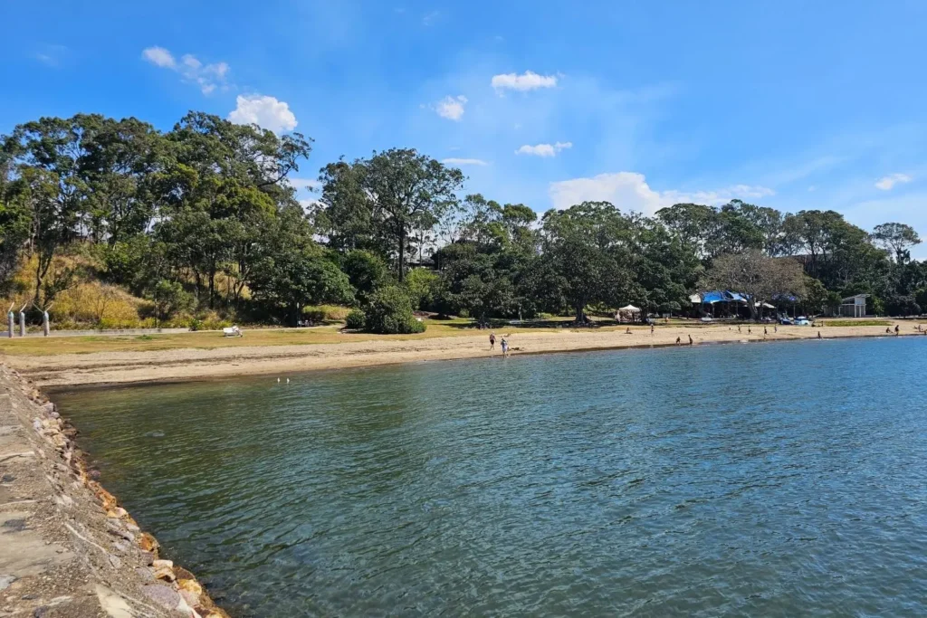Peaceful view of Shorncliffe Beach in Brisbane featuring a stone seawall, calm waters, and a tree-shaded parkland backing the sandy foreshore under a clear blue sky.