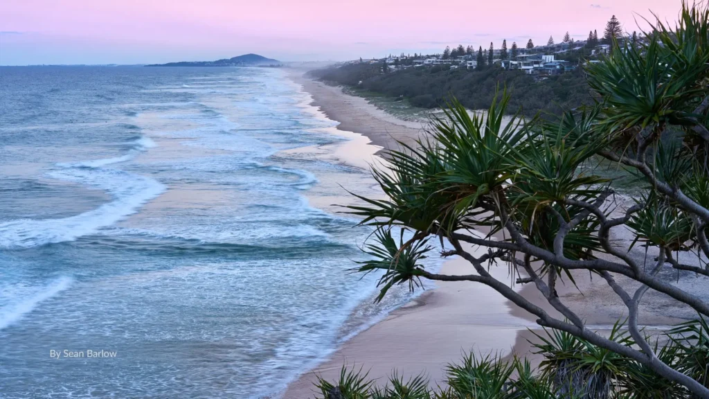Sunshine Beach with pandanus trees framing golden sand and rolling surf under a pastel pink sunset sky, Noosa, Sunshine Coast, Queensland.