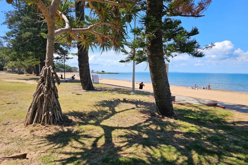 Tall trees casting shadows on grassy foreshore with views of sandy Suttons Beach and Moreton Bay, Brisbane, Queensland.