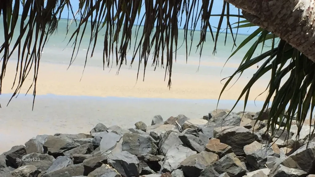 Framed view of Toogoom Beach with pandanus tree, rocky foreshore, and calm sandy shoreline at low tide, Hervey Bay, Queensland.