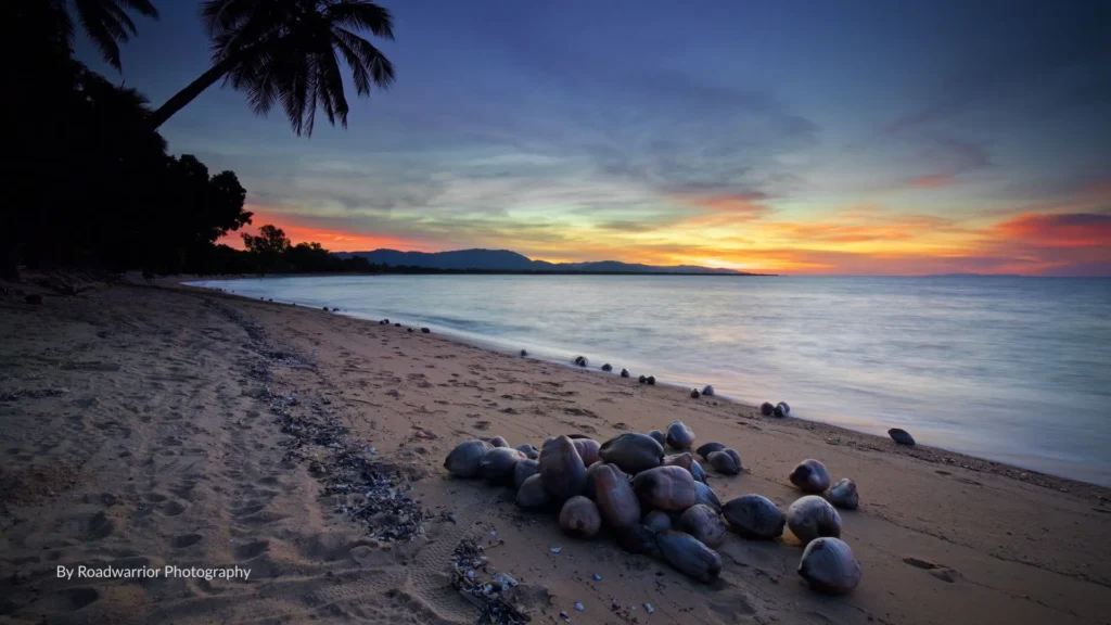 Sunset over Toolakea Beach with palm trees, scattered coconuts, and calm waves along a sandy shoreline north of Townsville, Queensland.