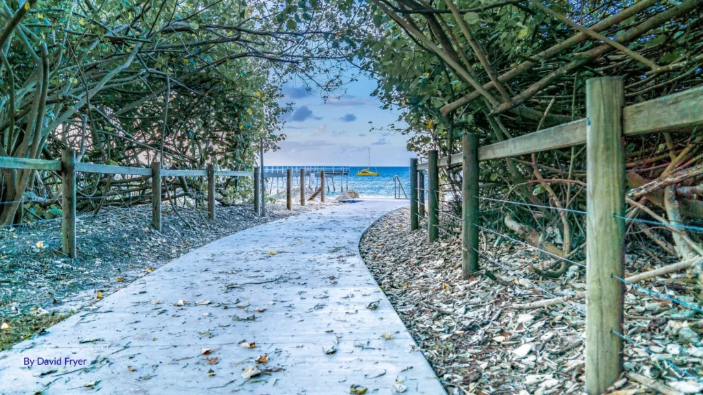 Pathway lined with trees leading to Torquay Beach with calm blue waters and a moored boat in the distance, Hervey Bay, Queensland.