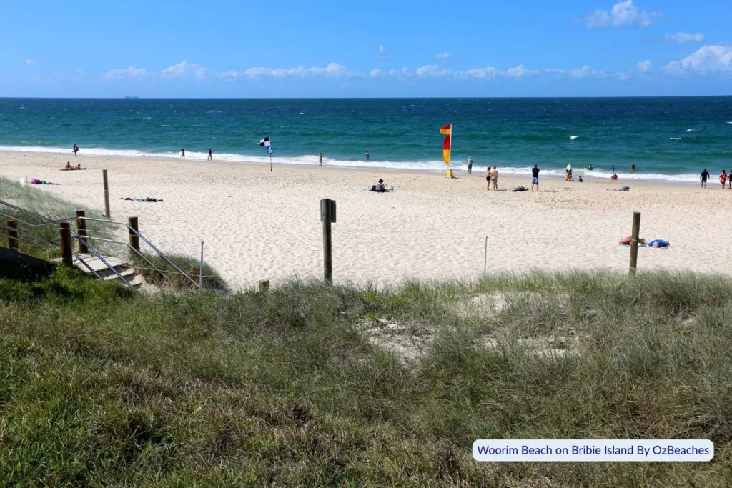 View of Woorim Beach from behind grassy dunes, with swimmers near lifeguard flags, white sand, and turquoise ocean under a clear blue sky on Bribie Island.