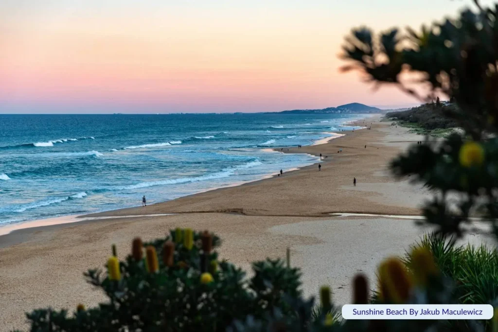Sunset over Sunshine Beach, Sunshine Coast QLD, with pastel skies, rolling surf, and a long stretch of sandy shoreline framed by coastal plants.