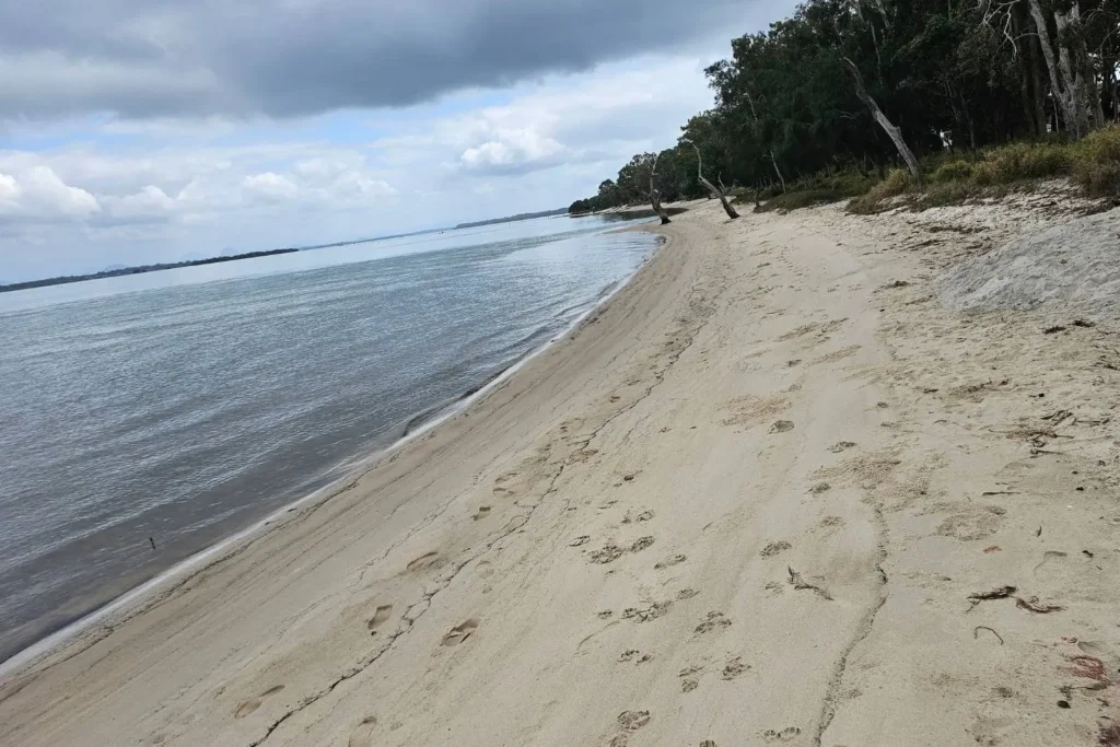 Quiet sandy shoreline at Sylvan Beach, Bribie Island QLD, with calm waters, footprints in the sand, and trees along the foreshore
