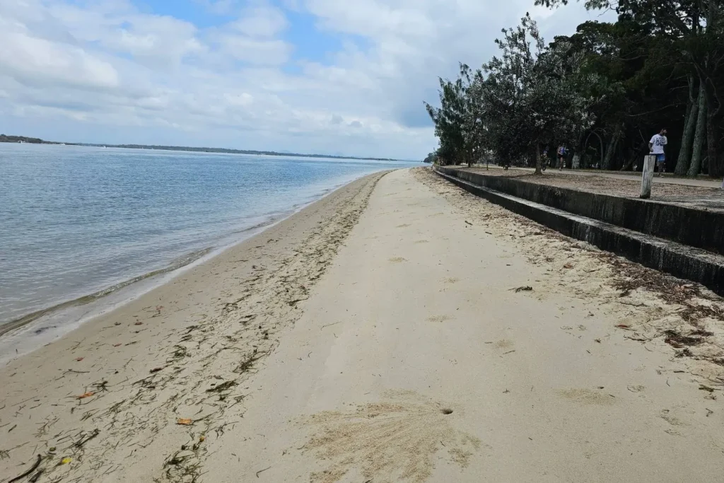 Sylvan Beach, Bribie Island QLD — calm Pumicestone Passage with wide sandy shoreline, seawall promenade and she-oak trees on an overcast day.