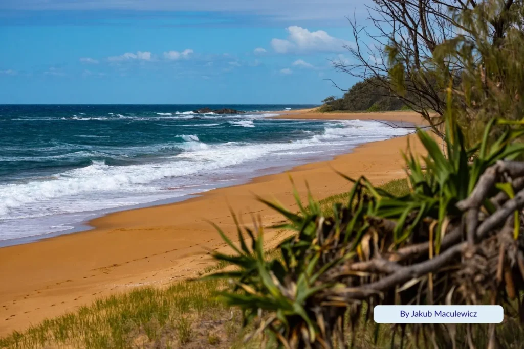 View of Agnes Water Beach framed by pandanus plants and rolling waves under a bright blue sky, Gladstone Region, Queensland.
