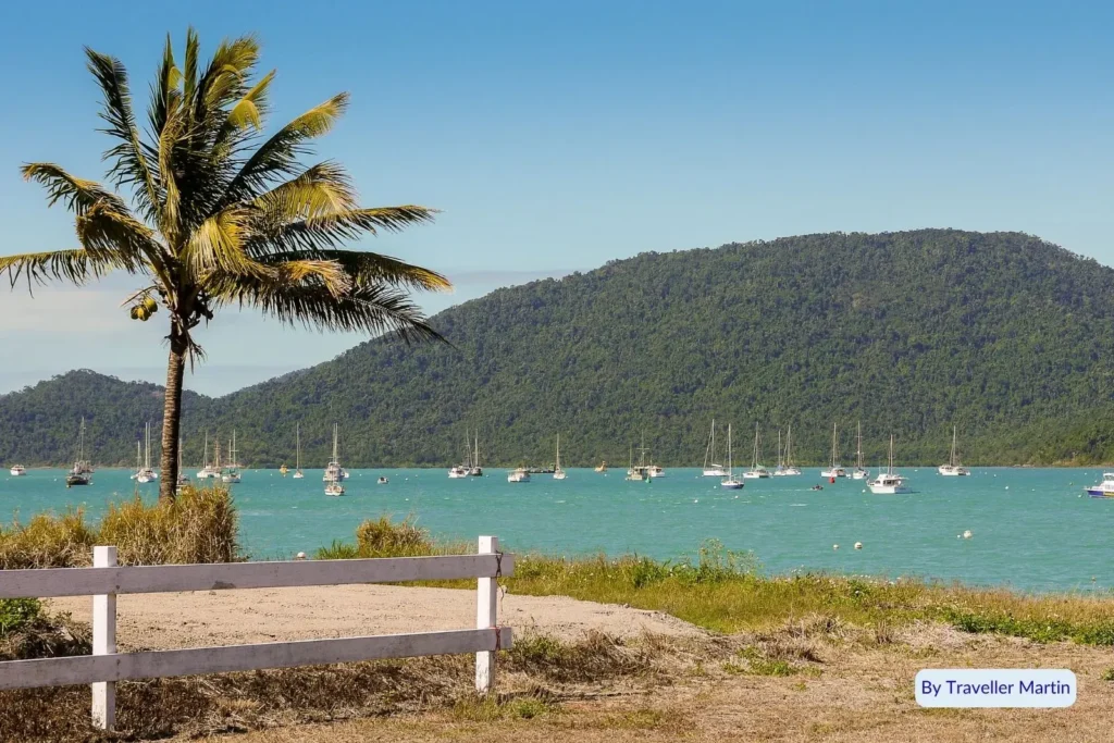 View of Airlie Beach marina with sailboats anchored in turquoise water and lush green hills in the Whitsundays, Queensland