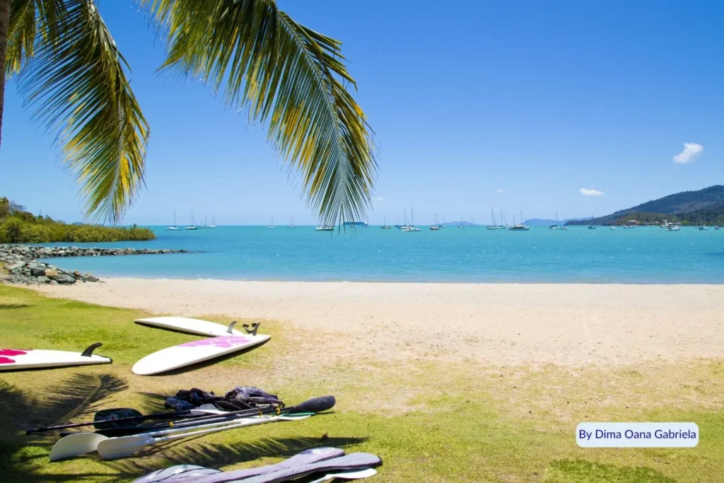 Stand-up paddleboards and oars resting on grassy foreshore under palm trees overlooking turquoise water and anchored boats at Airlie Beach, Whitsundays, Queensland, Australia.