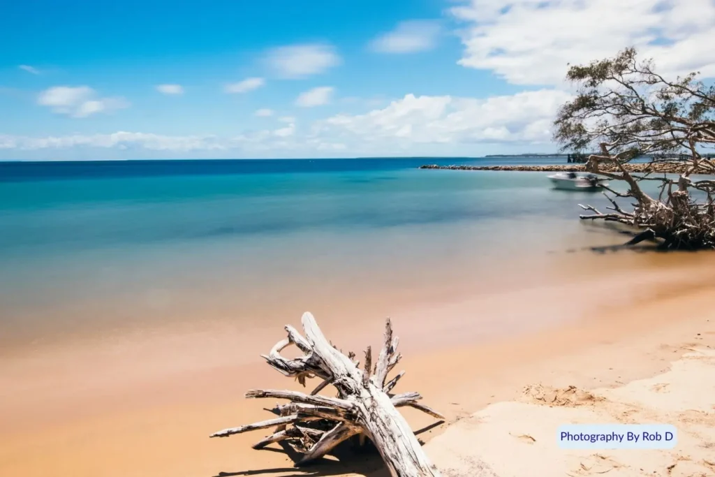 Driftwood on the sand at Amity Point Beach, North Stradbroke Island, with smooth turquoise sea and gentle clouds.